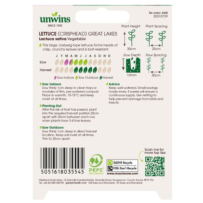 Lettuce (Iceberg) Great Lakes