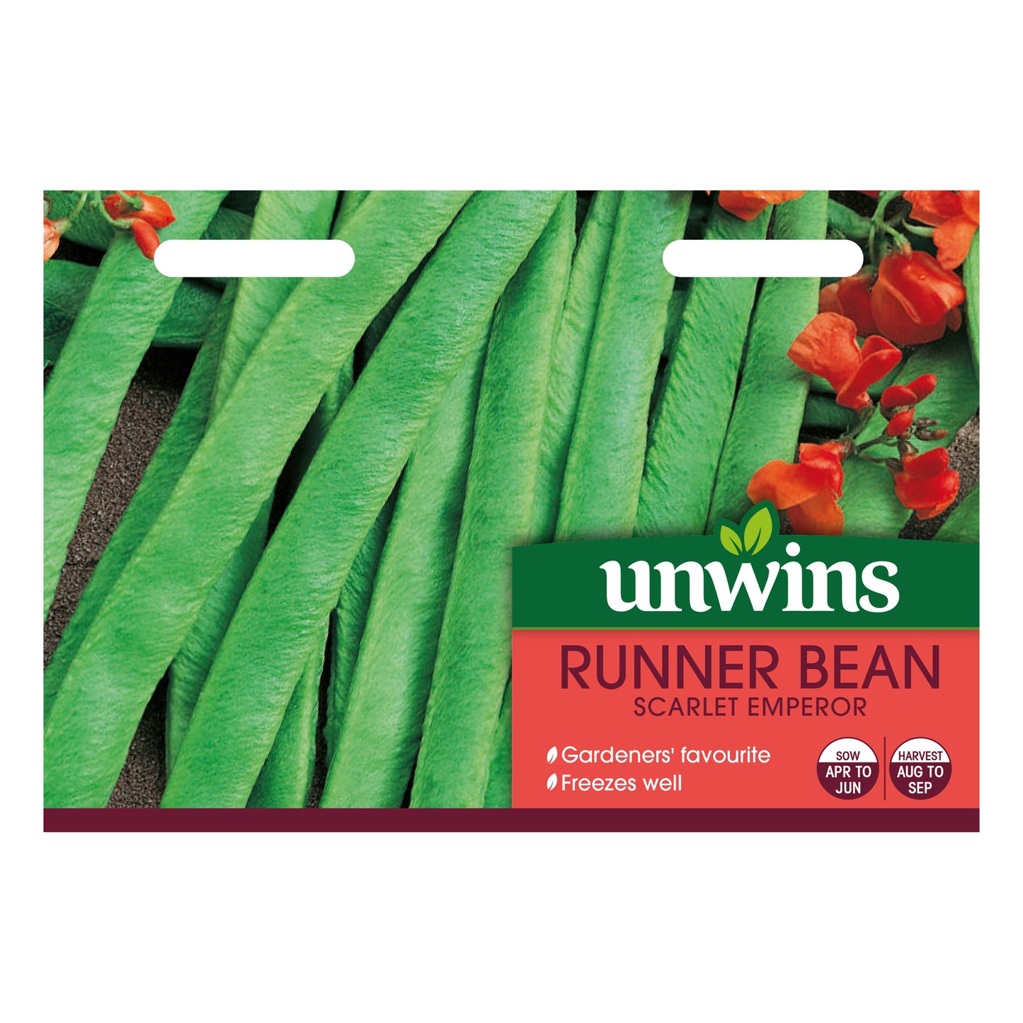 Runner Bean Scarlet Emperor