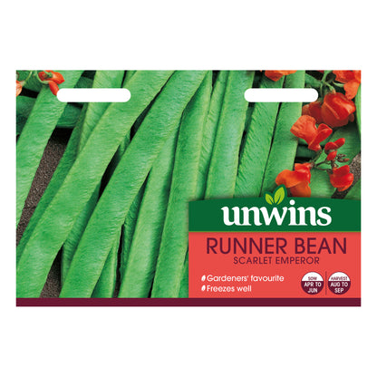 Runner Bean Scarlet Emperor