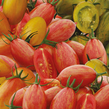 Tomato (Cherry Plum) Tiger Stripe Mix