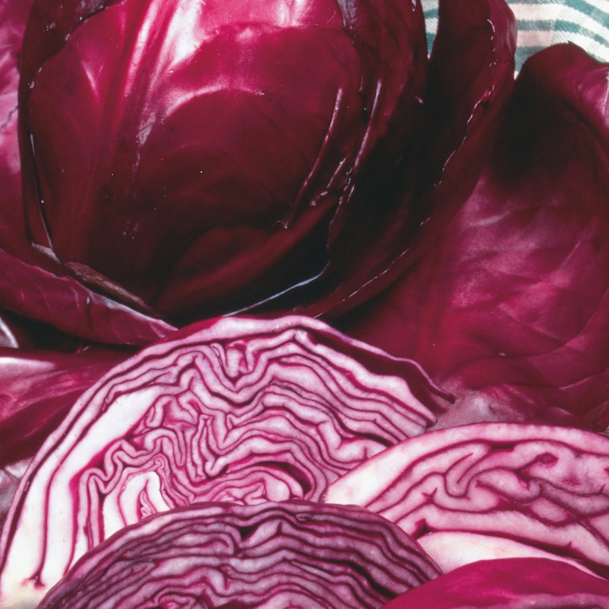 Unwins Pickling Veg Seed Bundle