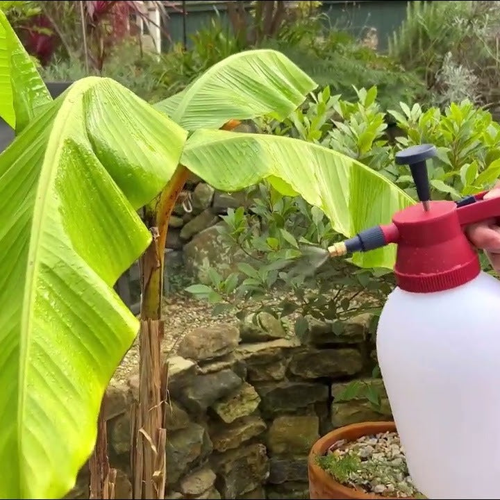 Spear & Jackson 2 Lt Pump Action Pressure Sprayer