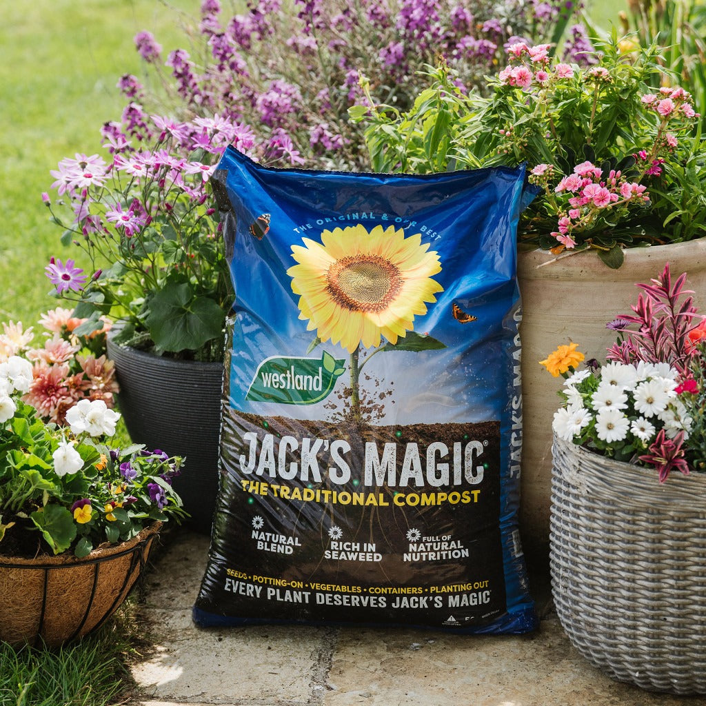 Westland Jack's Magic All Purpose Compost (Traditional Blend) 50 Litre