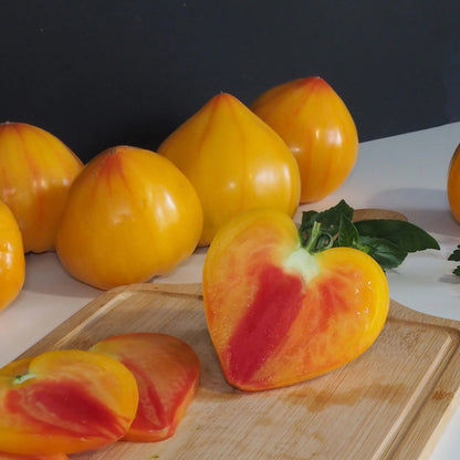 Tomato (Heart) Gourmansun F1