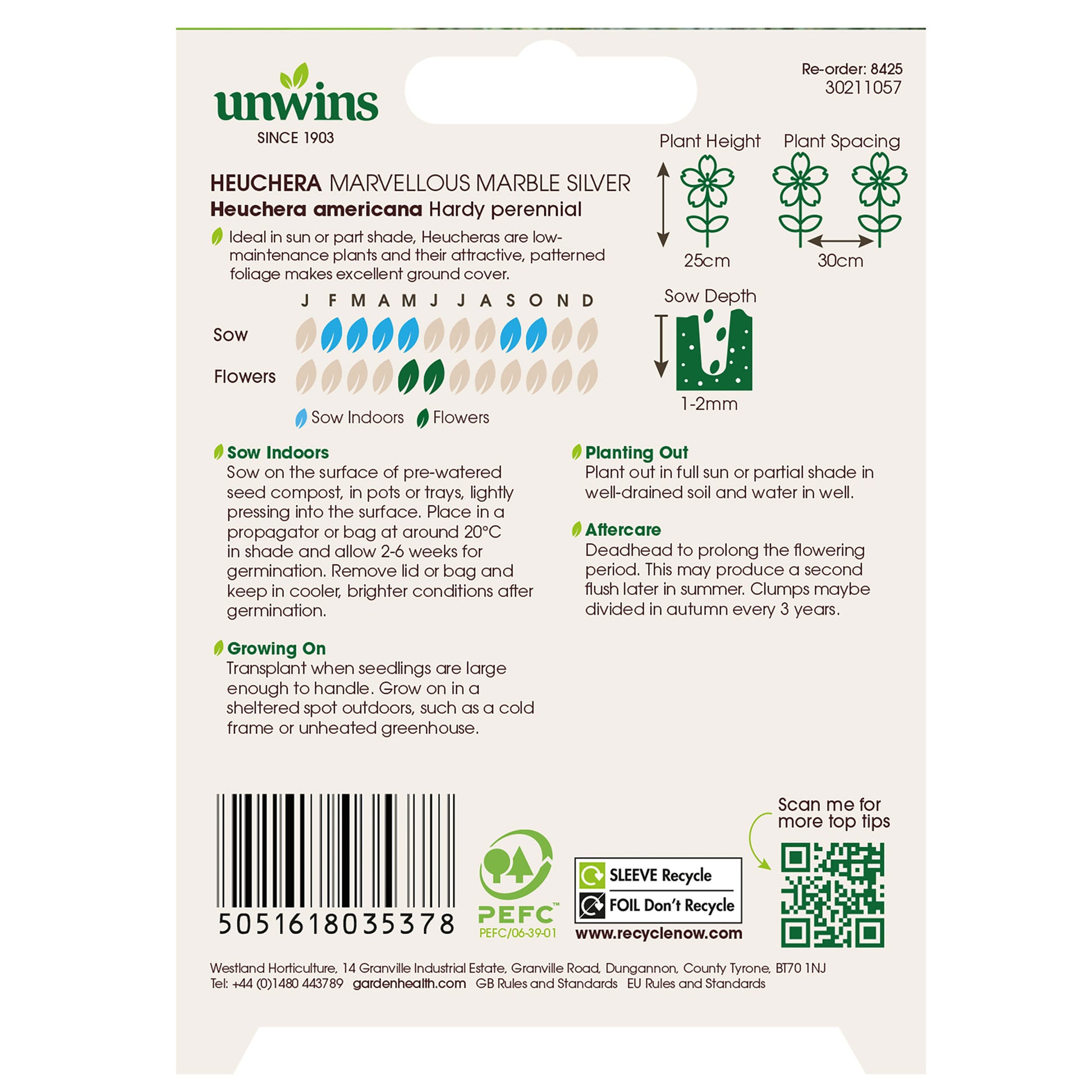 Heuchera Marvellous Marble