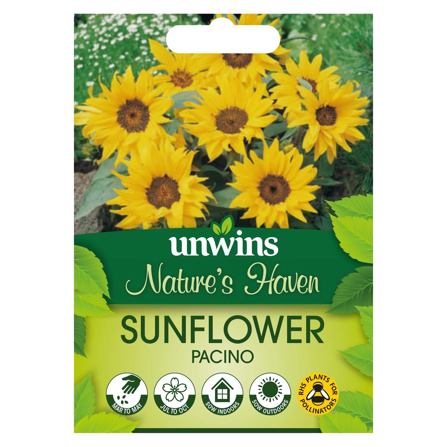 NH Sunflower PacinoFlower