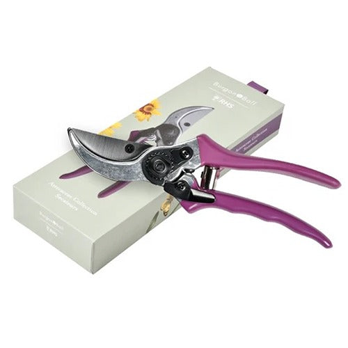 Burgon & Ball Asteraceae Secateurs