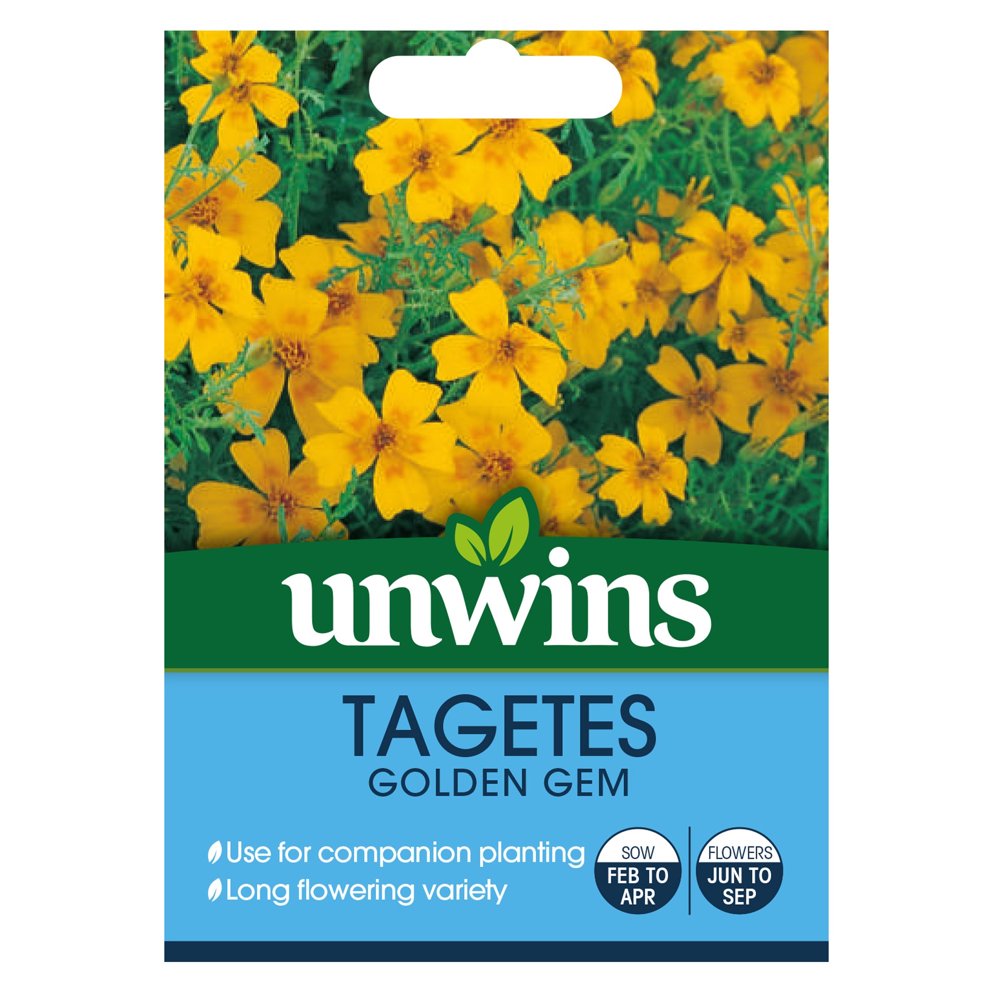 Tagetes Golden Gem