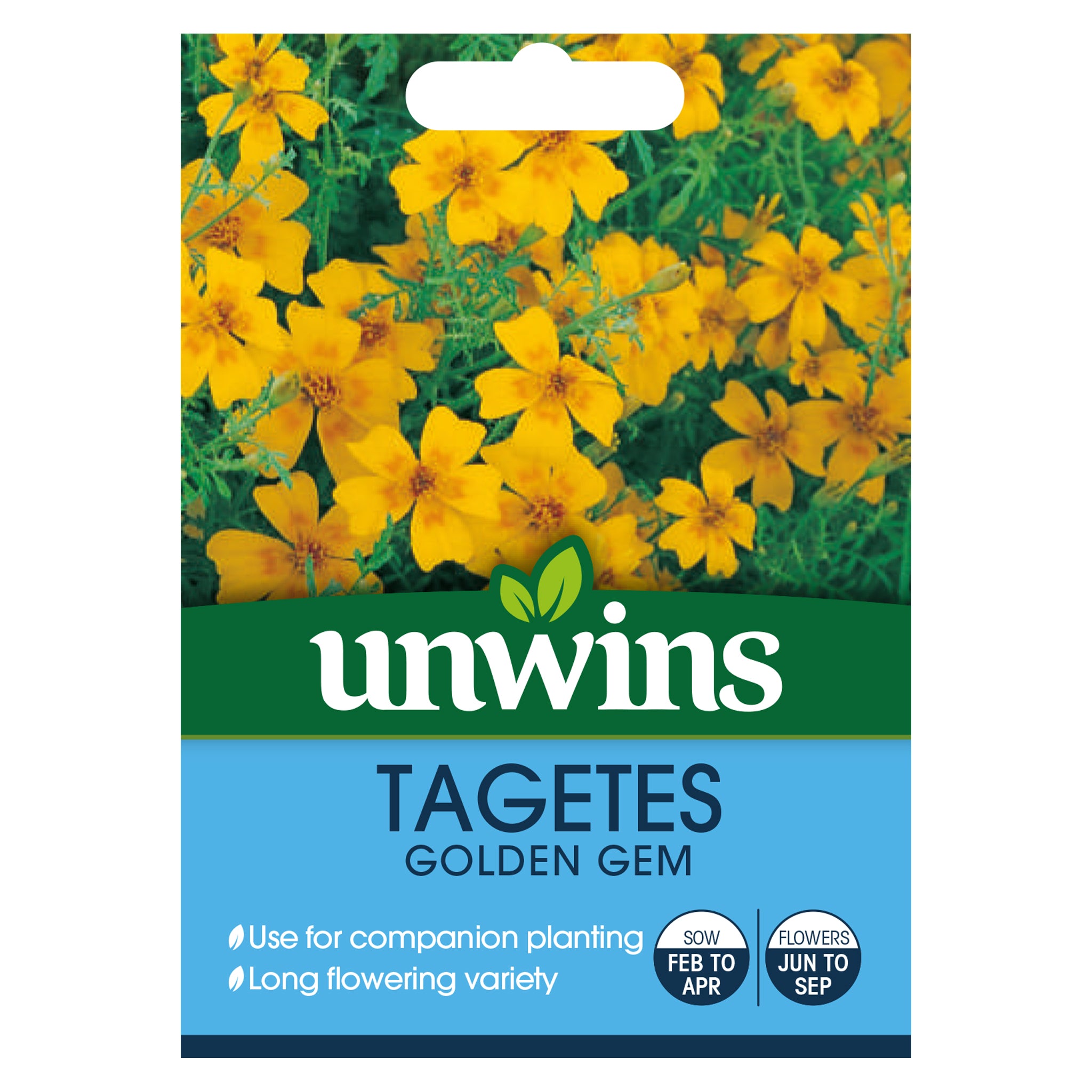 Tagetes Golden Gem
