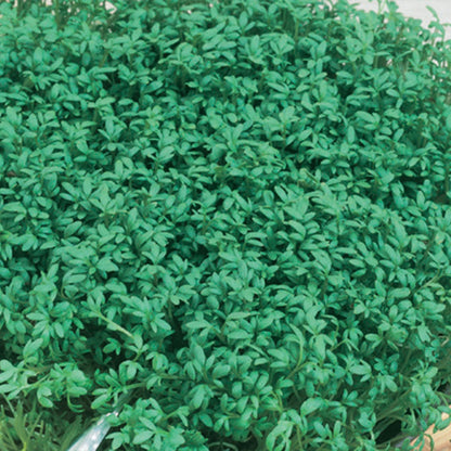 Unwins Seeds - Organic