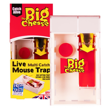 The Big Cheese Live Multi-Catch Mouse Trap