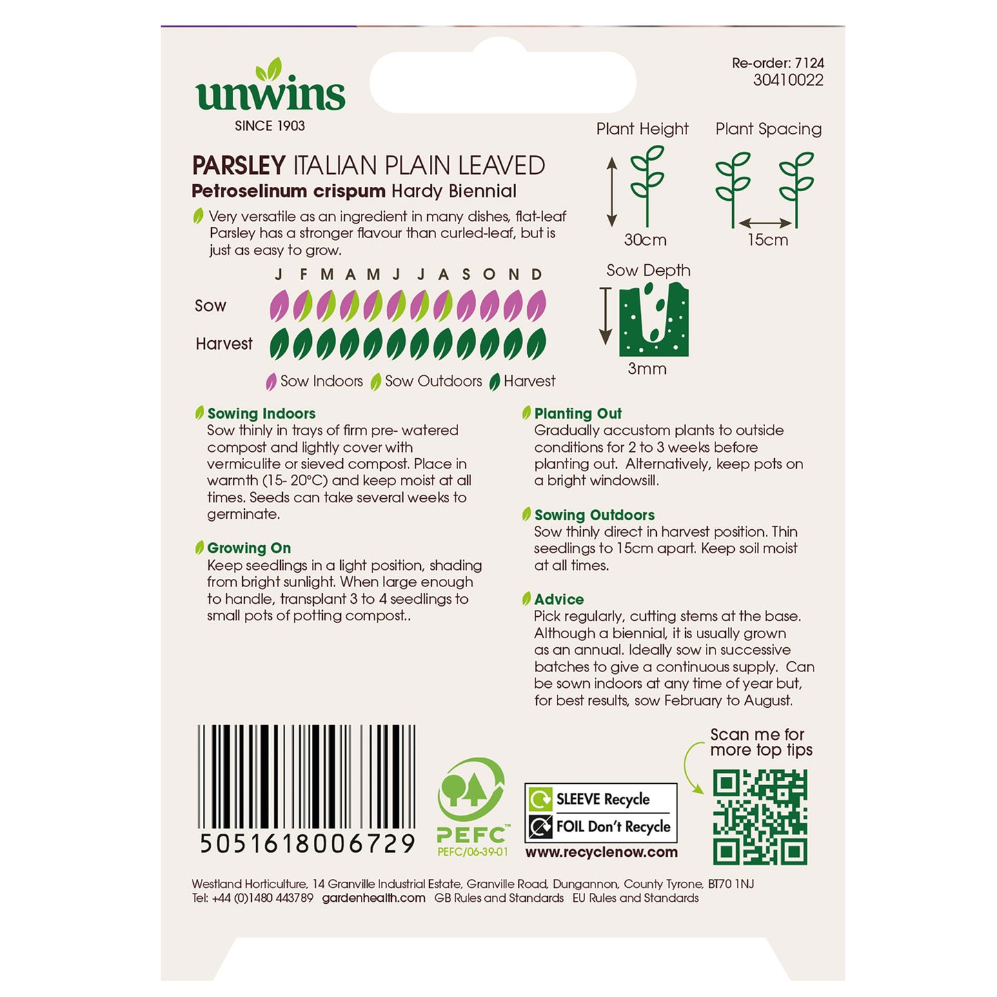 Herb Parsley Italian Plain Leaved