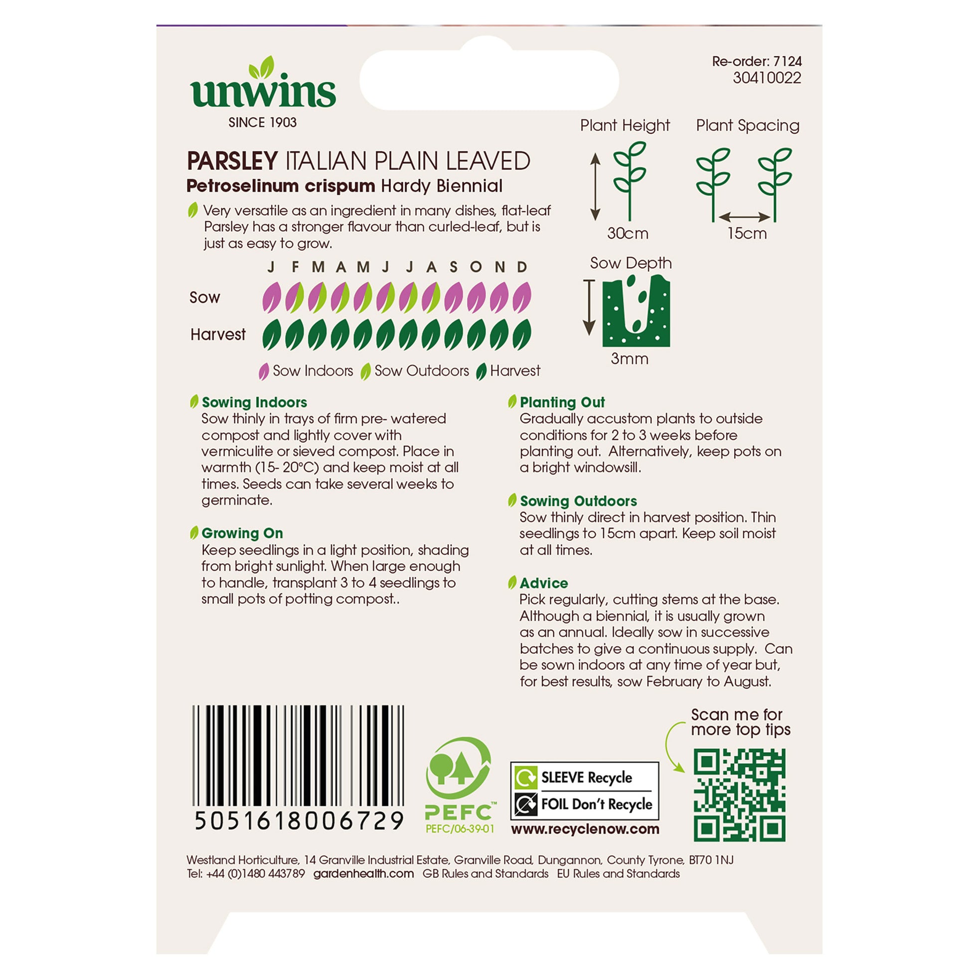 Herb Parsley Italian Plain Leaved