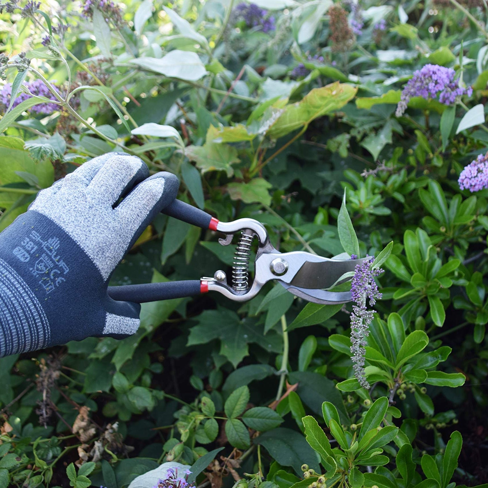 Spear & Jackson Bypass Secateurs + Folding Knife in Soft Holster Set