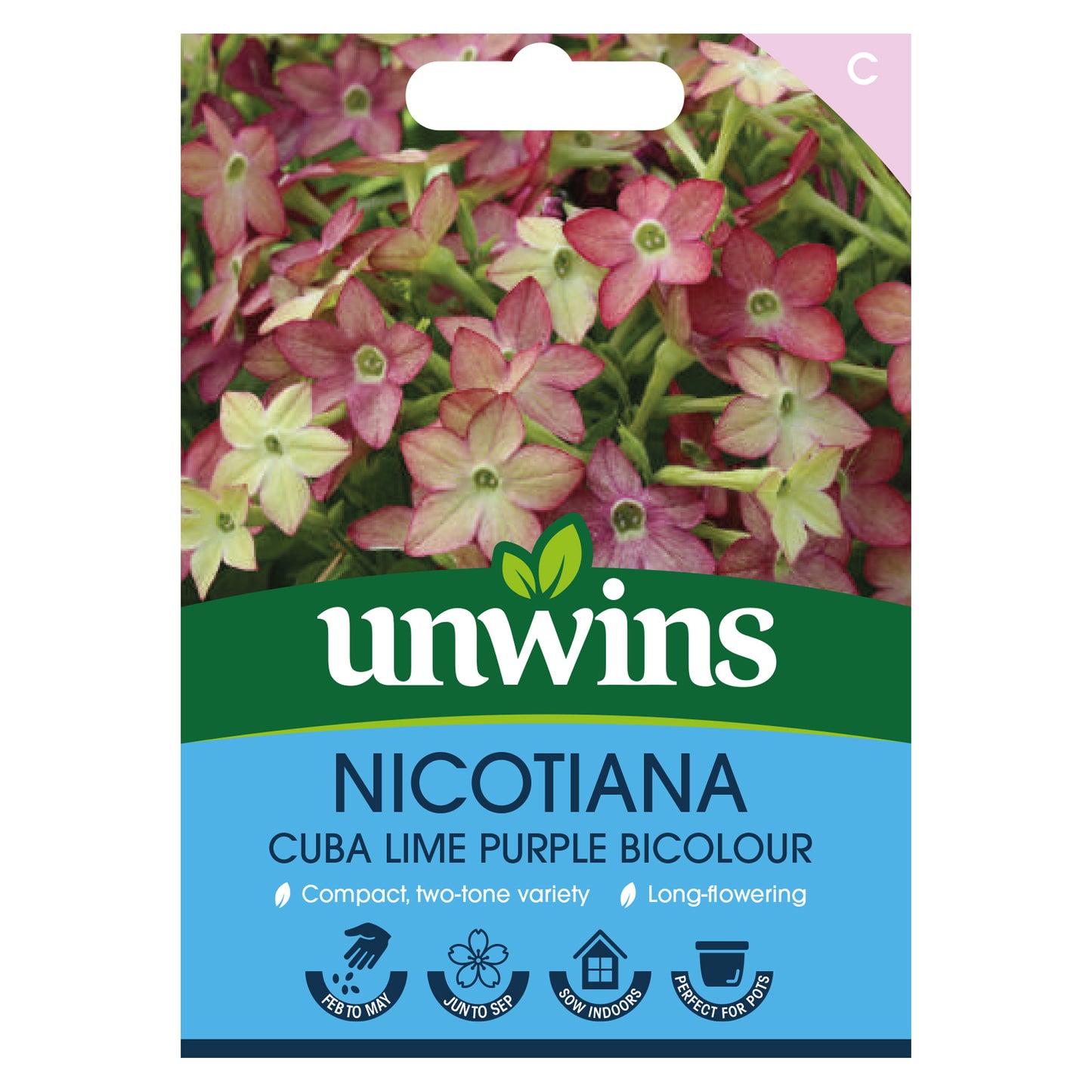 Nicotiana Cuba Lime Purple Bicolour