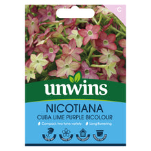 Nicotiana Cuba Lime Purple Bicolour
