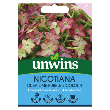 Nicotiana Cuba Lime Purple Bicolour