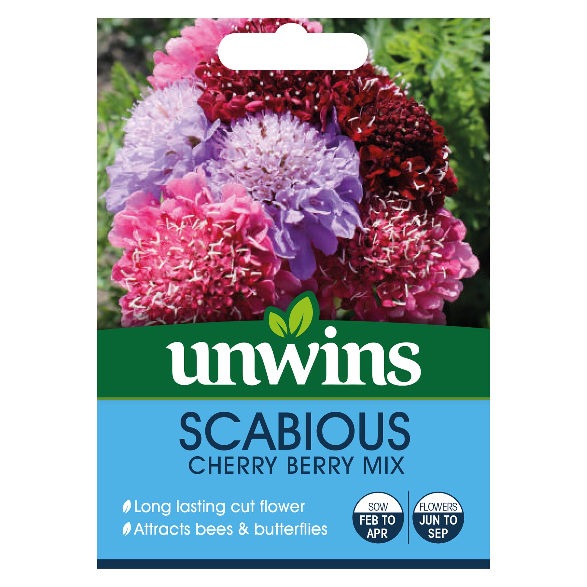 Scabious Cherry Berry Mix