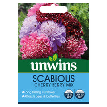 Scabious Cherry Berry Mix
