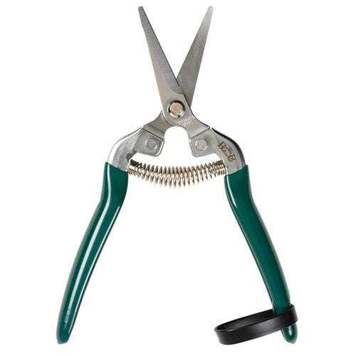 Burgon & Ball RHS Woodland Wonders Snips ​