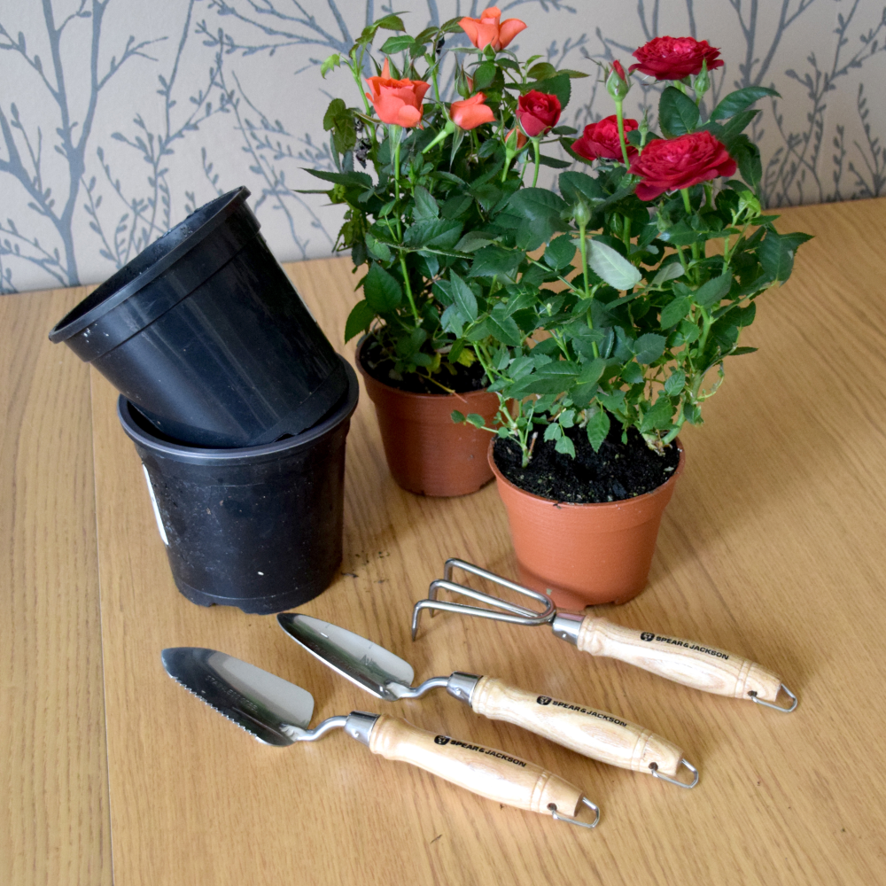 Spear & Jackson Stainless 3pc Mini Hand Tool Set