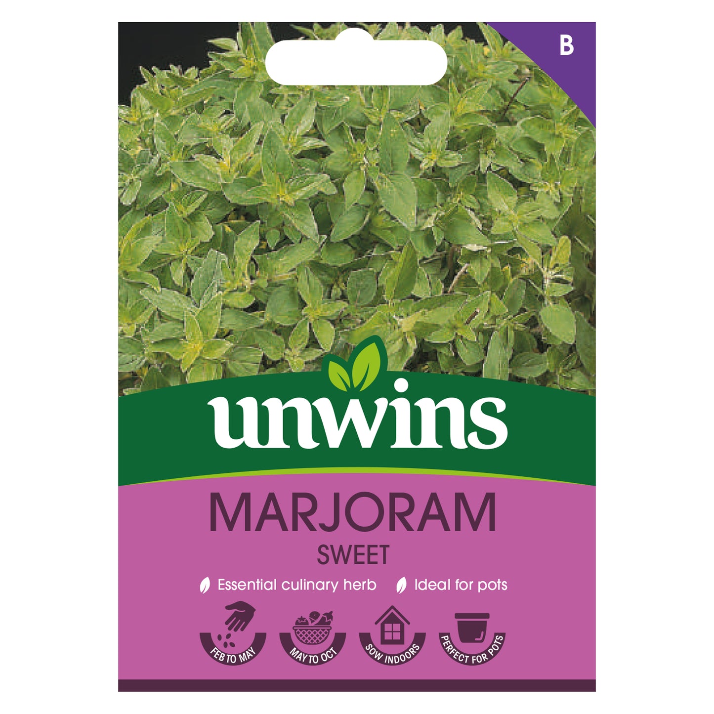Herb Marjoram Sweet