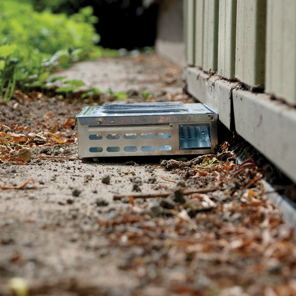 The Big Cheese Ultra Power Live Multi-Catch Mouse Trap