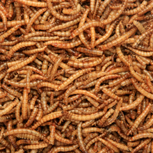 Copdock Mill Dried Mealworms Tubs 1kg