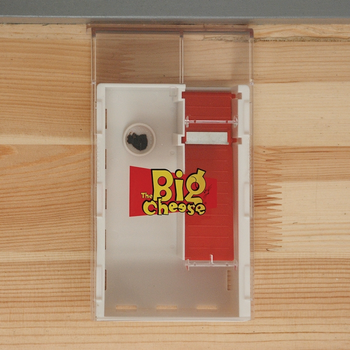 The Big Cheese Live Multi-Catch Mouse Trap