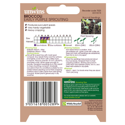 Broccoli Early Purple Sprouting