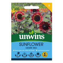 Sunflower Desire Red