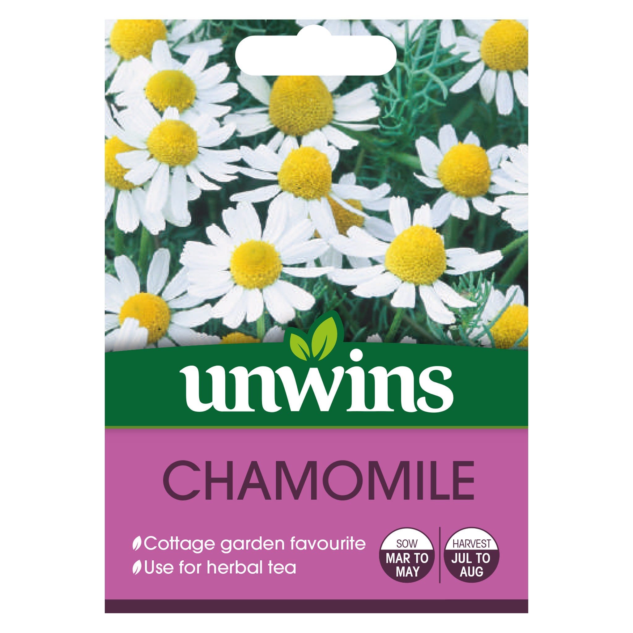 Herb Chamomile