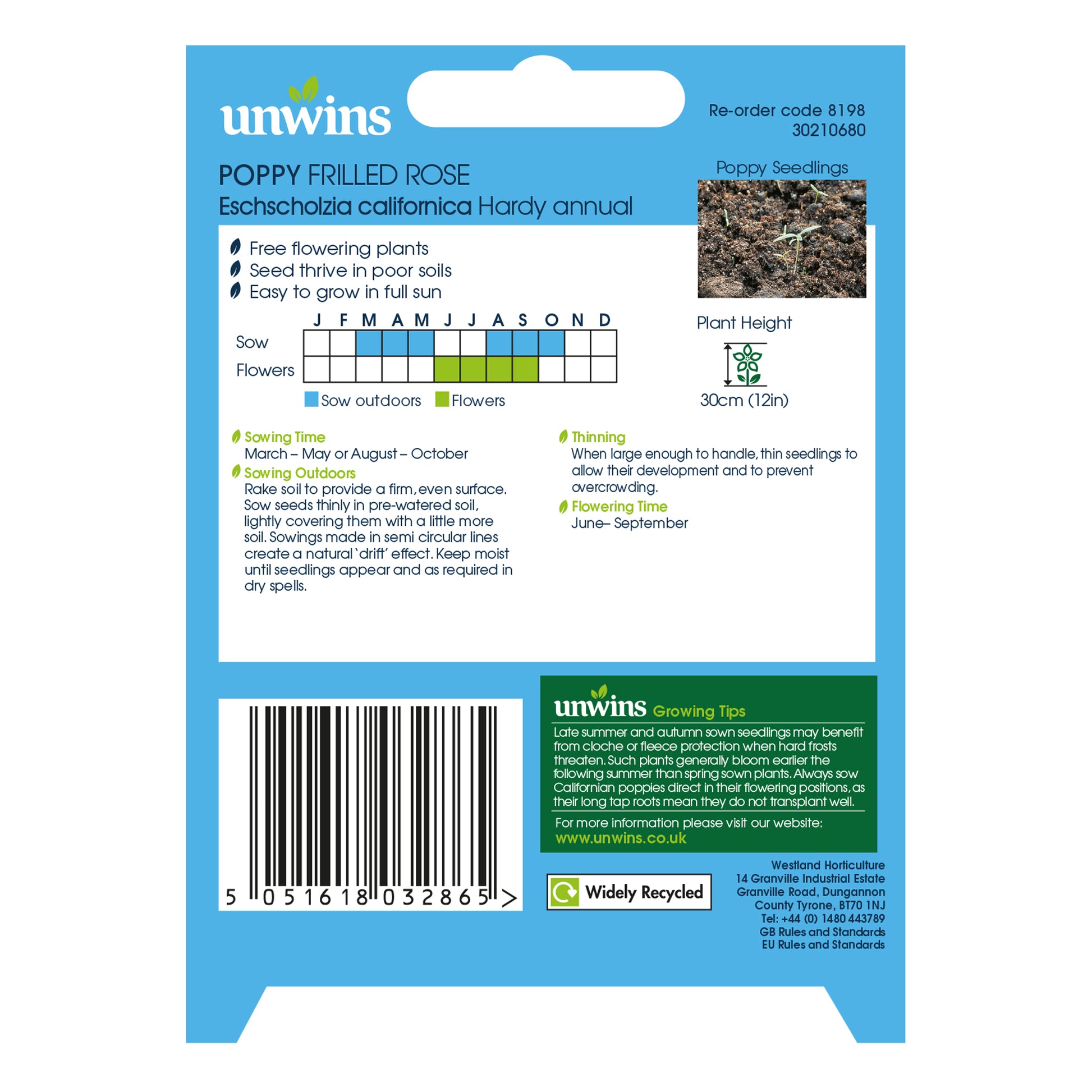 Poppy (Californian) Frilled Rose