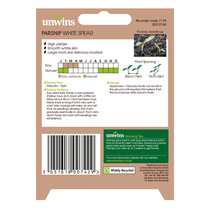 Parsnip White Spear