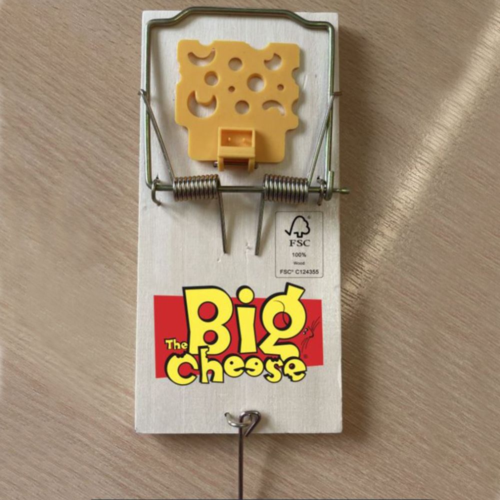 The Big Cheese Cheese Pedal FSC Mouse Trap Twinpack