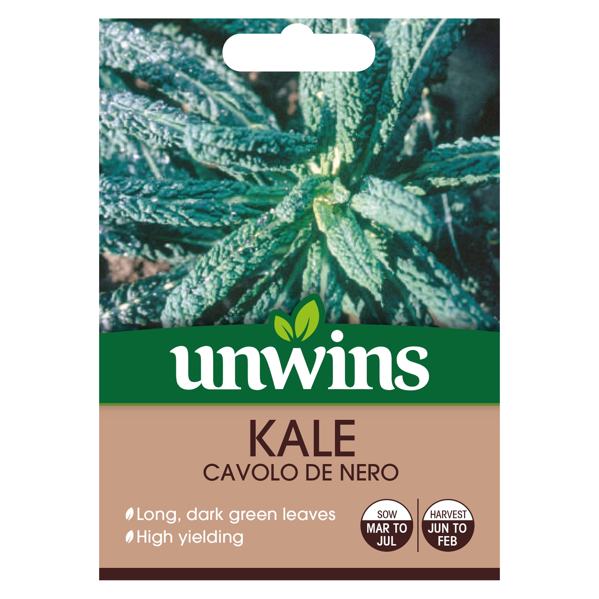 Kale Cavolo de Nero