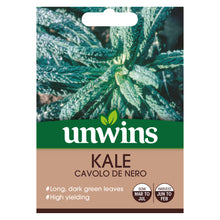 Kale Cavolo de Nero