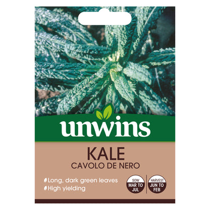 Kale Cavolo de Nero