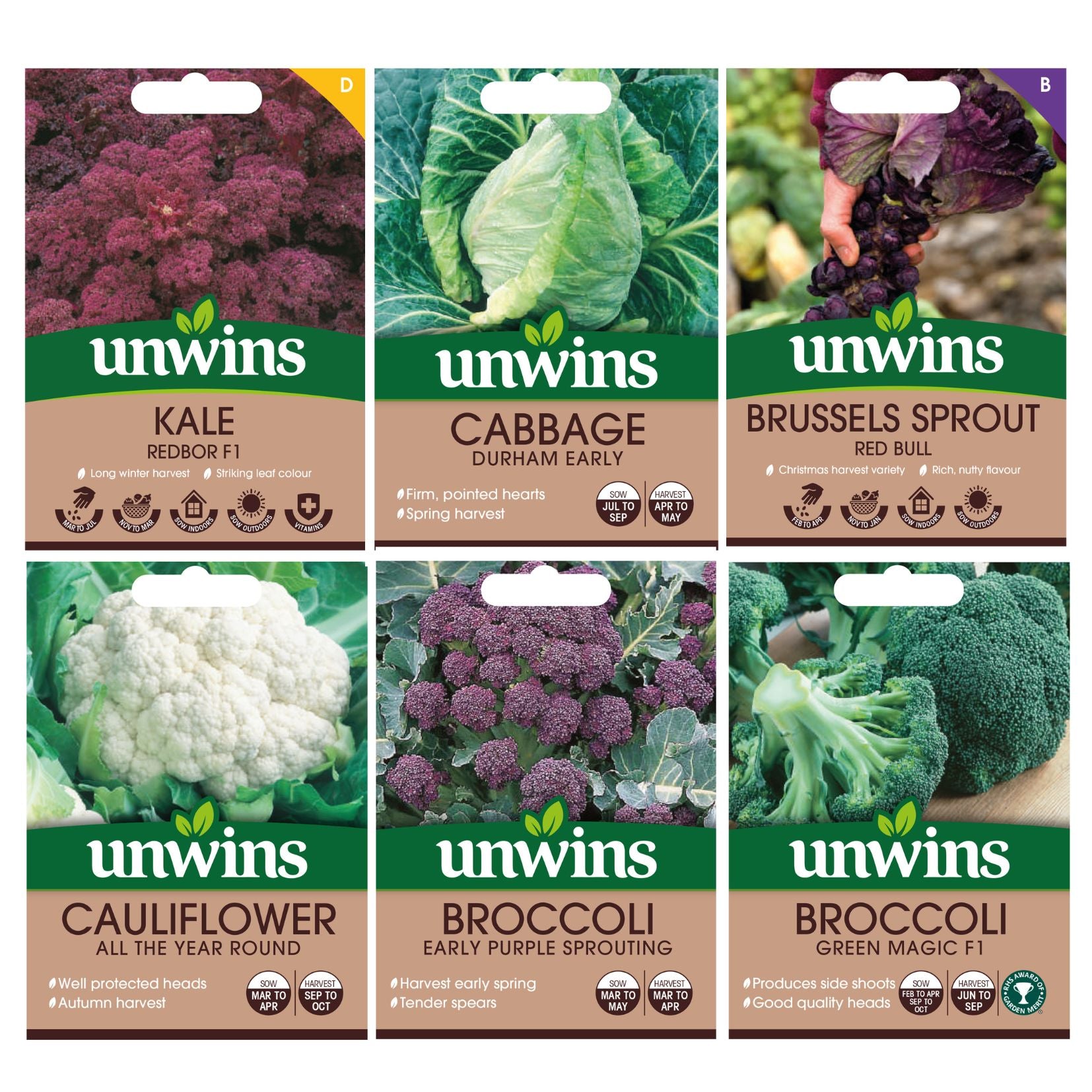 Unwins Brassica Family Seed Bundle