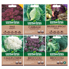 Unwins Brassica Family Seed Bundle
