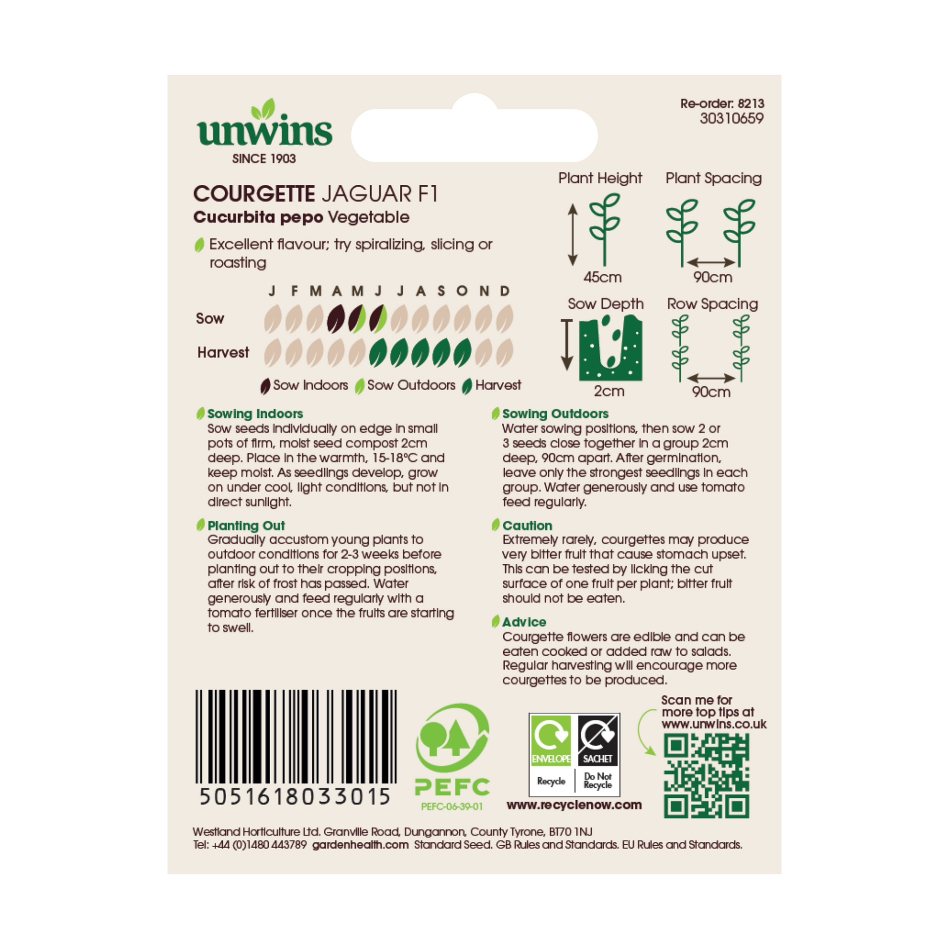 Courgette Jaguar F1Vegetable