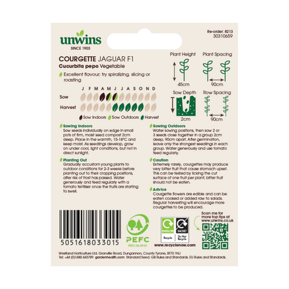 Courgette Jaguar F1Vegetable