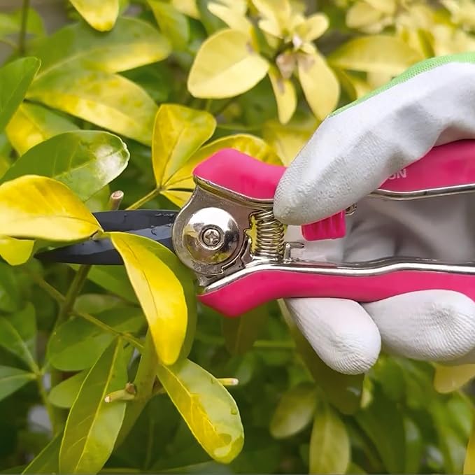 Spear & Jackson Bypass Secateurs + Mini Snips Set in Pink