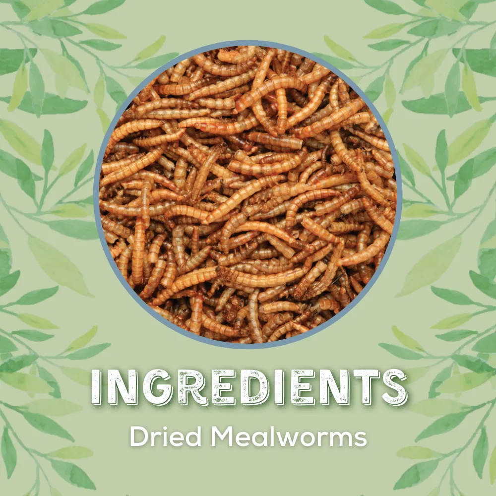 Copdock Mill Dried Mealworms Tubs 1kg