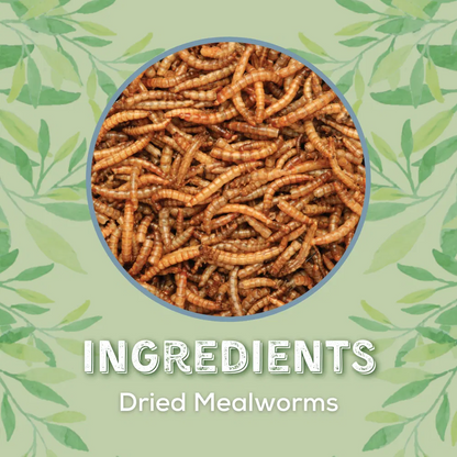 Copdock Mill Dried Mealworms Tubs 1kg