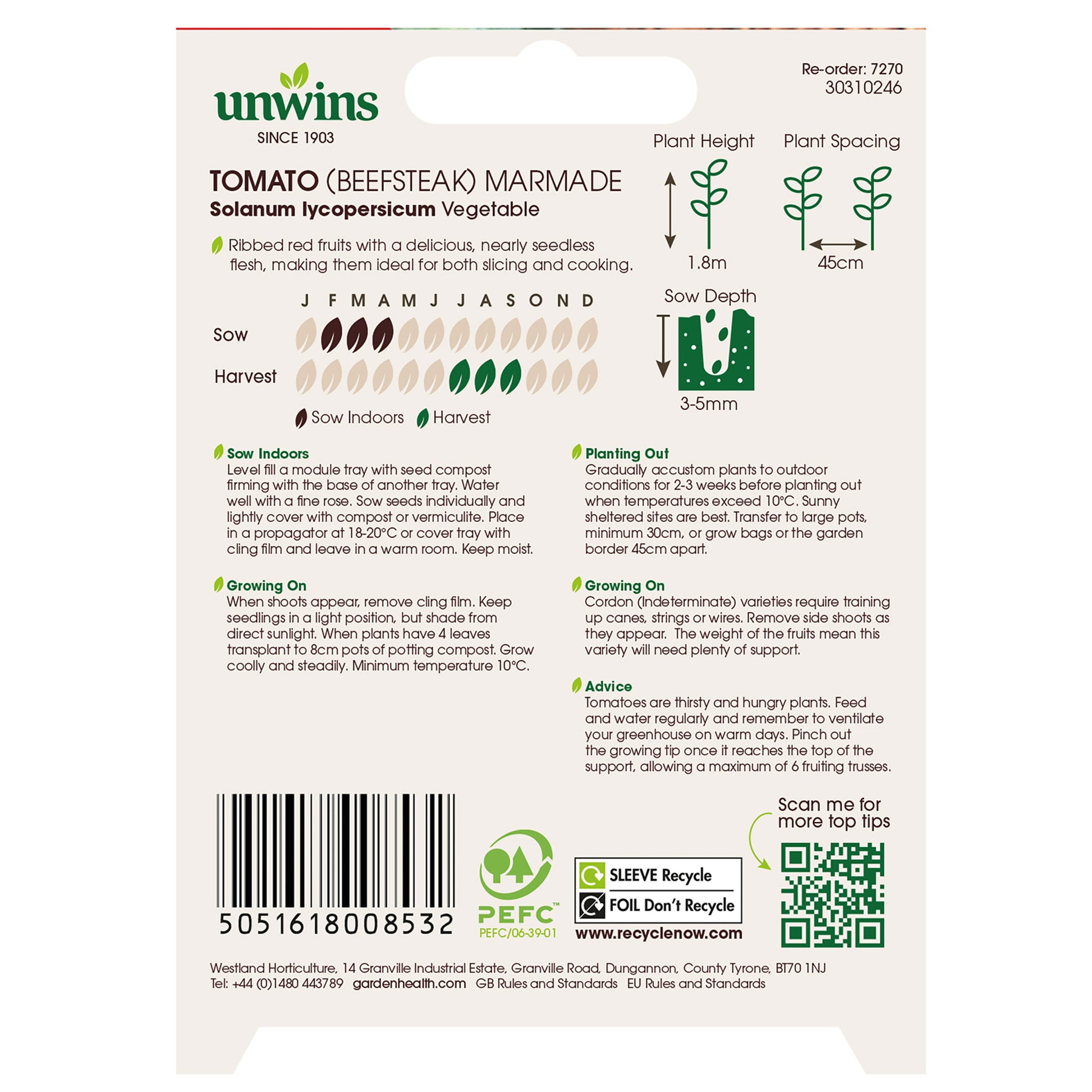 Tomato (Beefsteak) Marmande