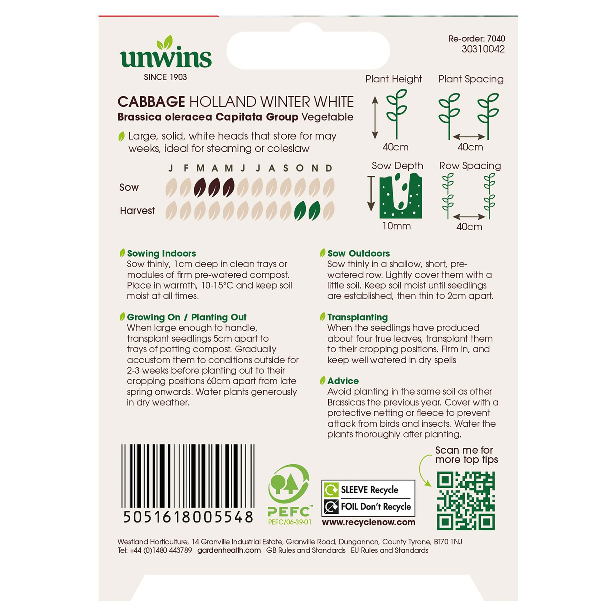 Cabbage (Round) Holland Winter White