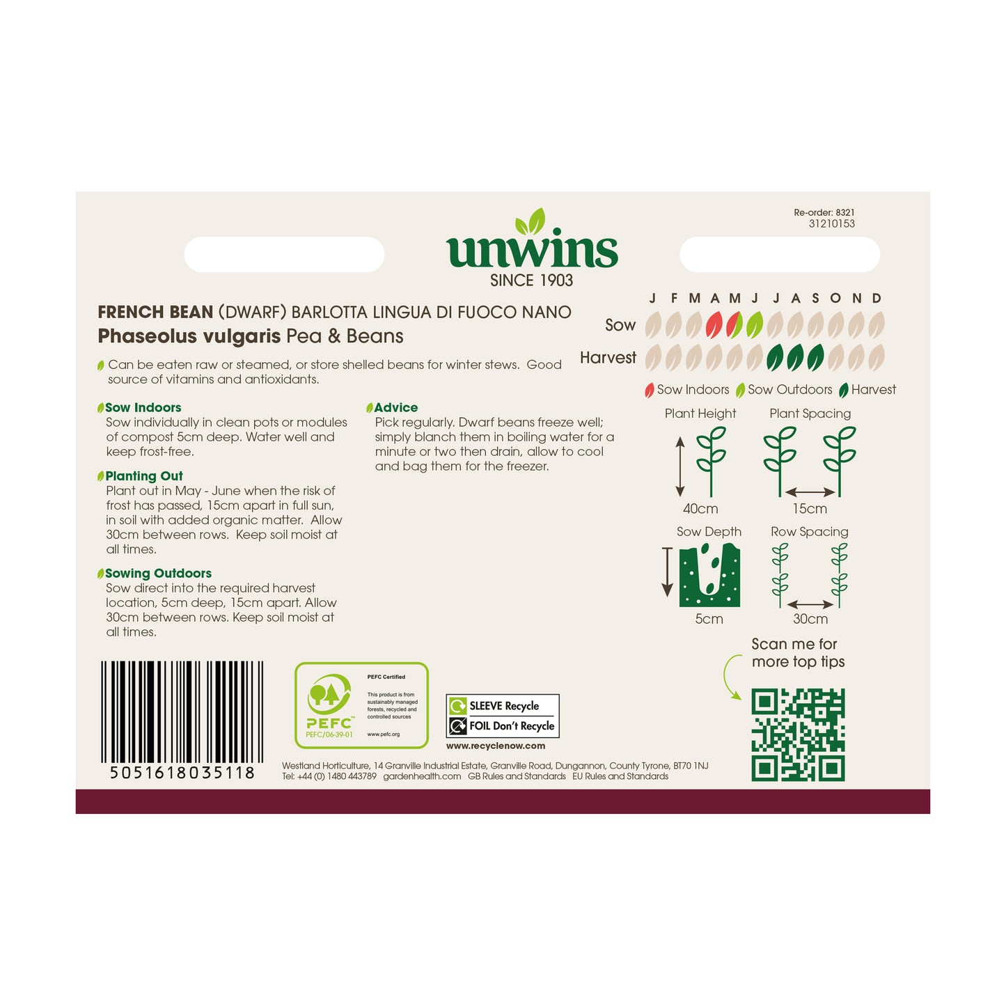 French Bean (Climbing) Barlotta Lingua di Fuoco Nano