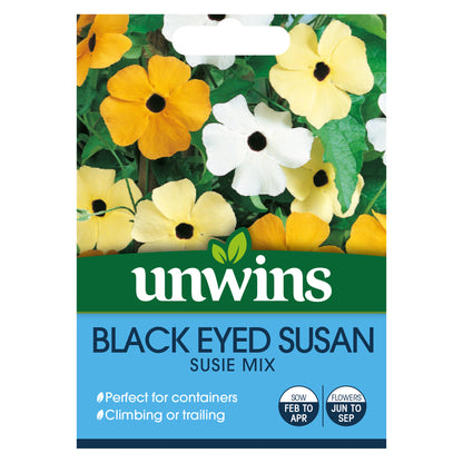 Black Eyed Susan Susie Mix