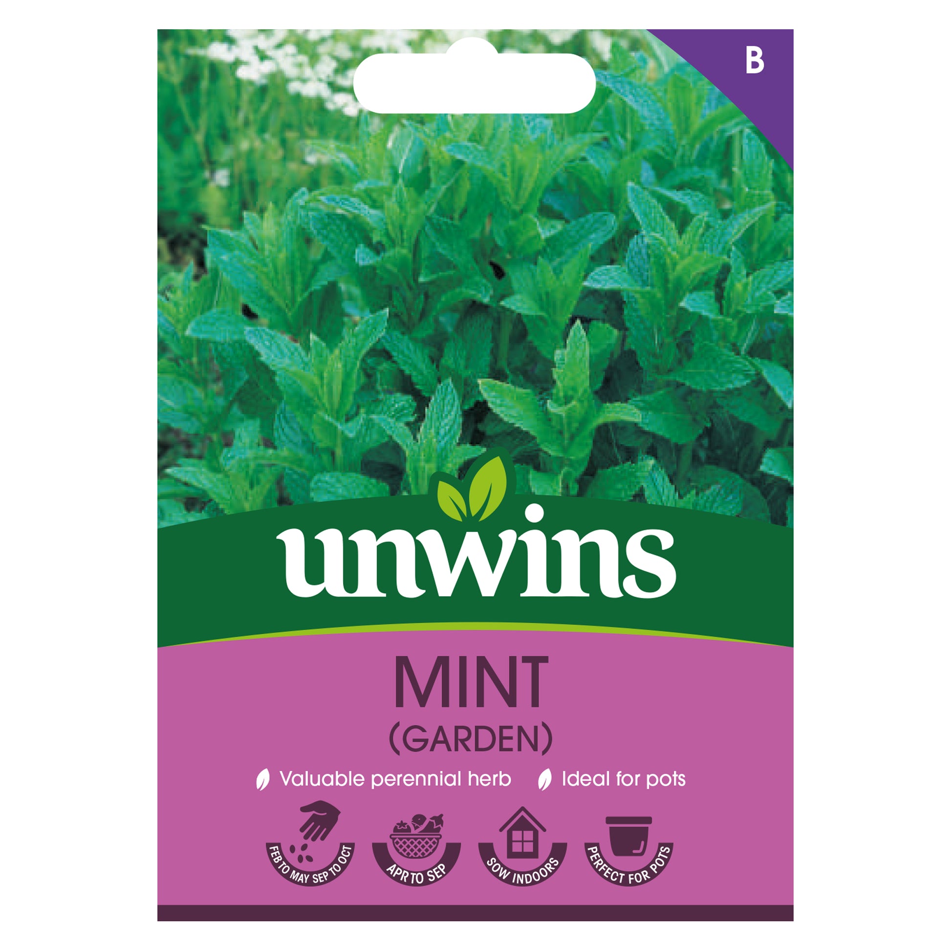 Unwins Herbal Tea Seed Bundle